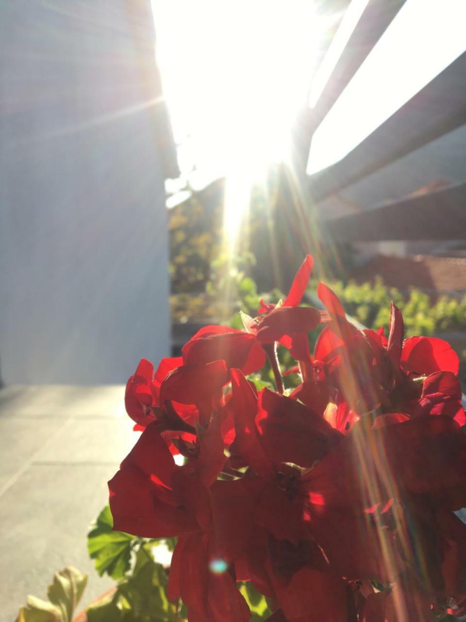 Apartment Iva Τρέμπινιε Εξωτερικό φωτογραφία